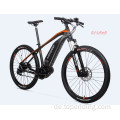 Individuelles elektrisches Off -Roadbike